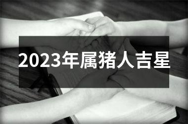 2025年属猪人吉星