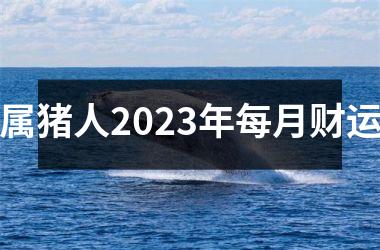 属猪人2025年每月财运