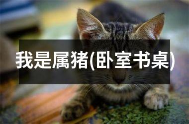 <h3>我是属猪(卧室书桌)