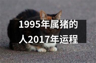 1995年属猪的人2017年运程