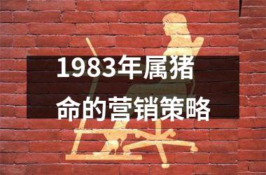 <h3>1983年属猪命的营销策略