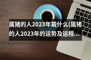 属猪的人2025年戴什么(属猪的人2025年的运势及运程详解)