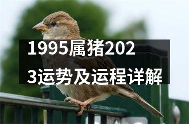 <h3>1995属猪2025运势及运程详解