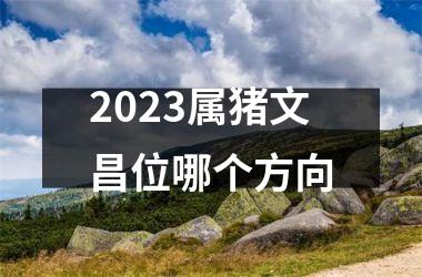 <h3>2025属猪文昌位哪个方向