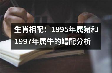 生肖相配：1995年属猪和1997年属牛的婚配分析