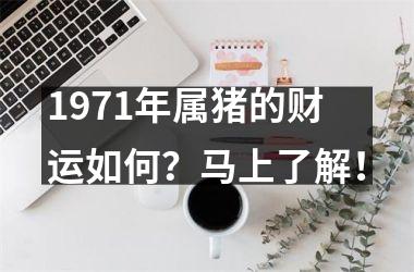 1971年属猪的财运如何？马上了解！