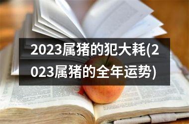 <h3>2025属猪的犯大耗(2025属猪的全年运势)