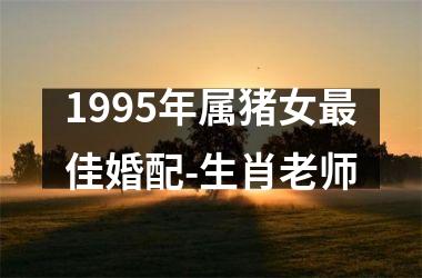 1995年属猪女佳婚配-生肖老师