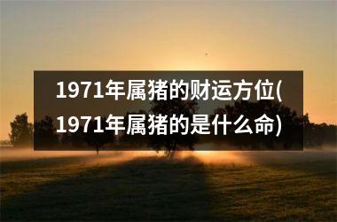 <h3>1971年属猪的财运方位(1971年属猪的是什么命)