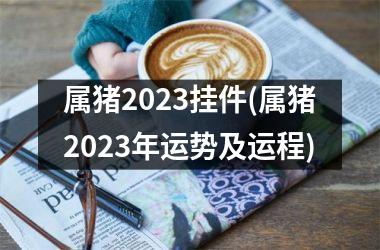 属猪2025挂件(属猪2025年运势及运程)