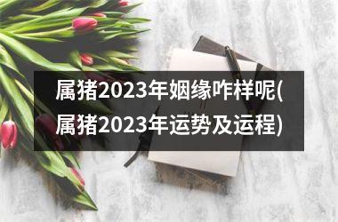 <h3>属猪2025年姻缘咋样呢(属猪2025年运势及运程)