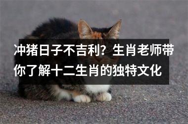 <h3>冲猪日子不吉利？生肖老师带你了解十二生肖的独特文化