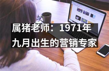 属猪老师：1971年九月出生的营销专家