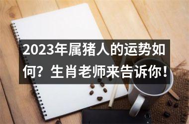 <h3>2025年属猪人的运势如何？生肖老师来告诉你！