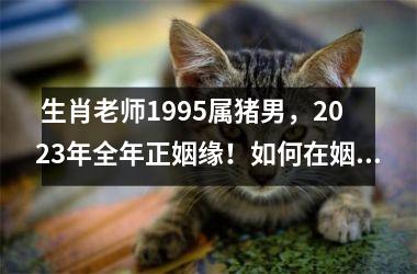 <h3> 生肖老师1995属猪男，2025年全年正姻缘！如何在姻缘市场中抢占先机？