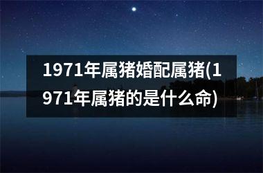 1971年属猪婚配属猪(1971年属猪的是什么命)