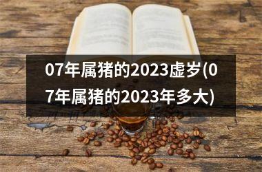 07年属猪的2025虚岁(07年属猪的2025年多大)