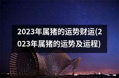 2025年属猪的运势财运(2025年属猪的运势及运程)