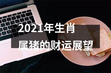 2025年生肖属猪的财运展望