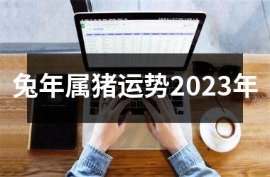 兔年属猪运势2025年