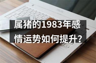 属猪的1983年感情运势如何提升？