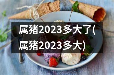 <h3>属猪2025多大了(属猪2025多大)