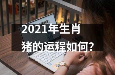 <h3>2025年生肖猪的运程如何？