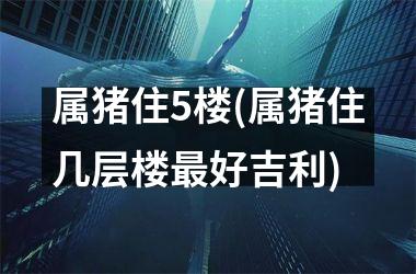 属猪住5楼(属猪住几层楼好吉利)