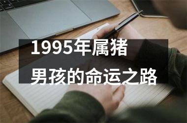 1995年属猪男孩的命运之路