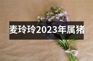 <h3>麦玲玲2025年属猪