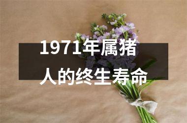 1971年属猪人的终生寿命