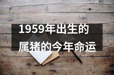 <h3>1959年出生的属猪的今年命运