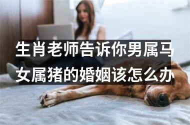 生肖老师告诉你男属马女属猪的婚姻该怎么办