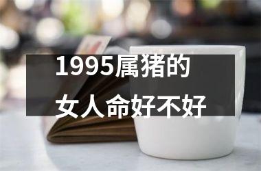 1995属猪的女人命好不好