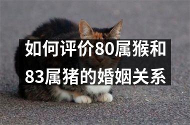 如何评价80属猴和83属猪的婚姻关系