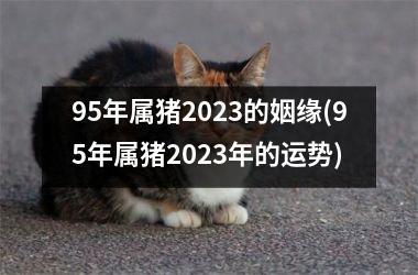 95年属猪2025的姻缘(95年属猪2025年的运势)