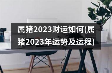 属猪2025财运如何(属猪2025年运势及运程)