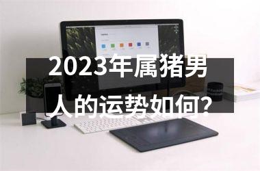 <h3>2025年属猪男人的运势如何？