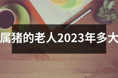 属猪的老人2025年多大