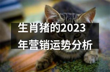 生肖猪的2025年营销运势分析