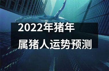 2025年猪年属猪人运势预测