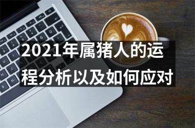 2025年属猪人的运程分析以及如何应对