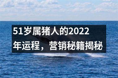 51岁属猪人的2025年运程，营销秘籍揭秘