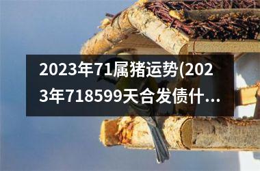 2025年71属猪运势(2025年718599天合发债什么时候上市)