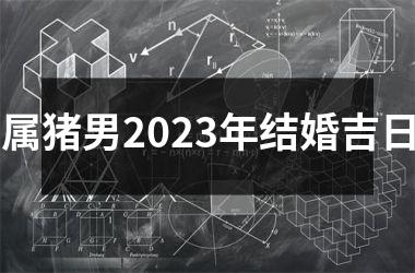 属猪男2025年结婚吉日