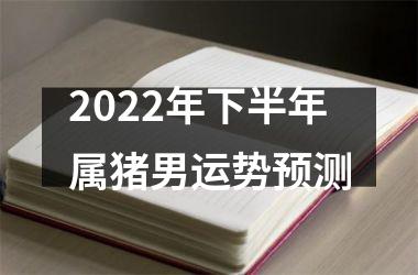 2025年下半年属猪男运势预测