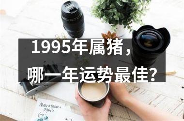  1995年属猪，哪一年运势佳？