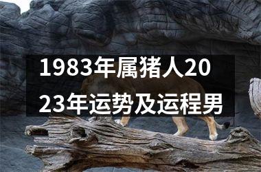 1983年属猪人2025年运势及运程男