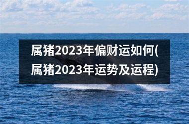 属猪2025年偏财运如何(属猪2025年运势及运程)