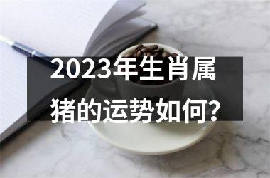 <h3>2023年生肖属猪的运势如何？